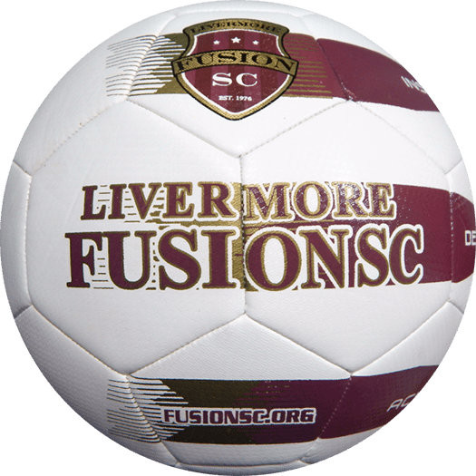 Custom Soccer Balls Logo Soccer Balls Soccer Camp Balls