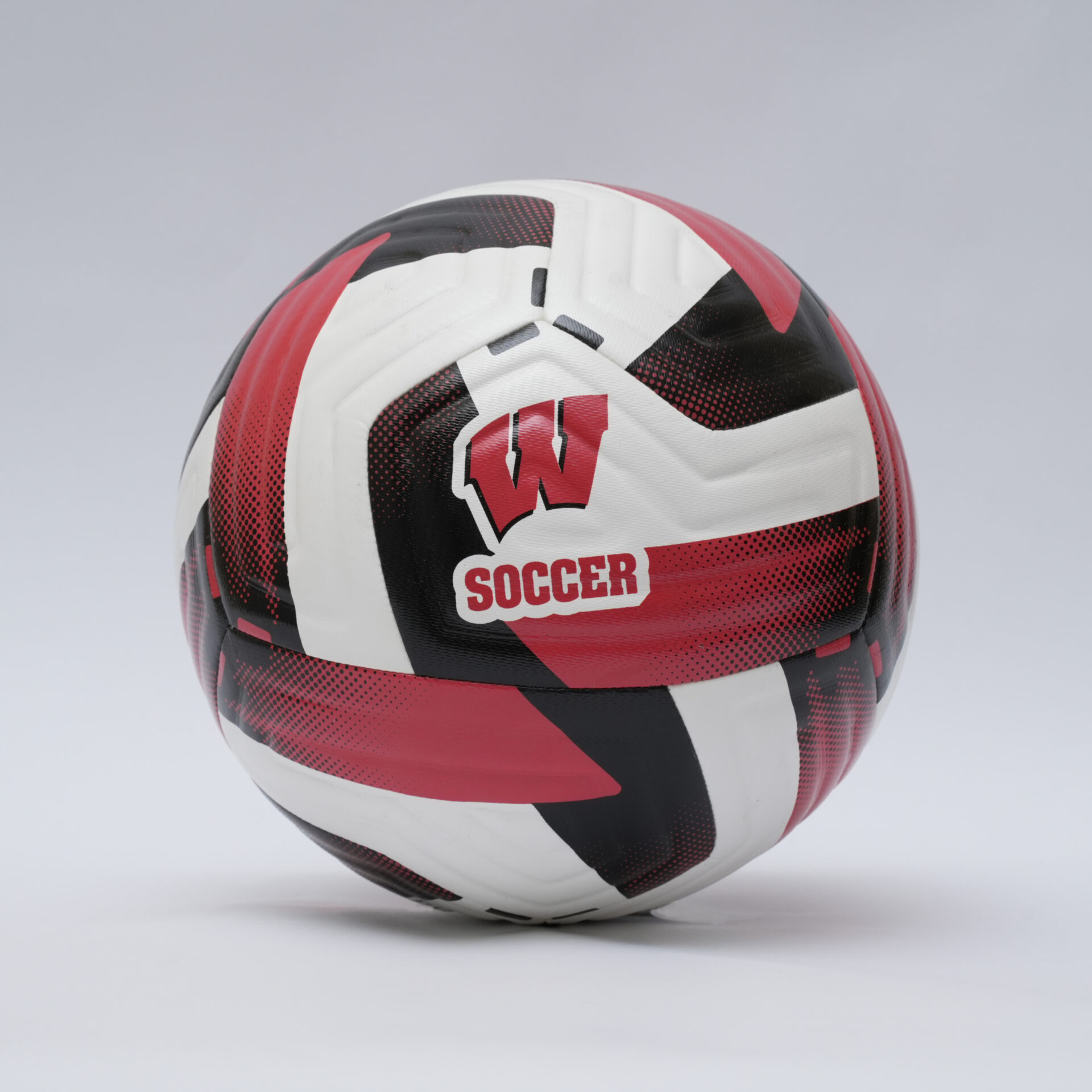 12-PANEL PREMIUM CAMP LEVEL 12 panel premium custom camp level soccer ball