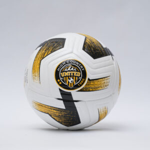 NFHS APPROVED 12-PANEL PREMIUM MATCH LEVEL NFHS Approved 12 panel premium match level custom soccer ball