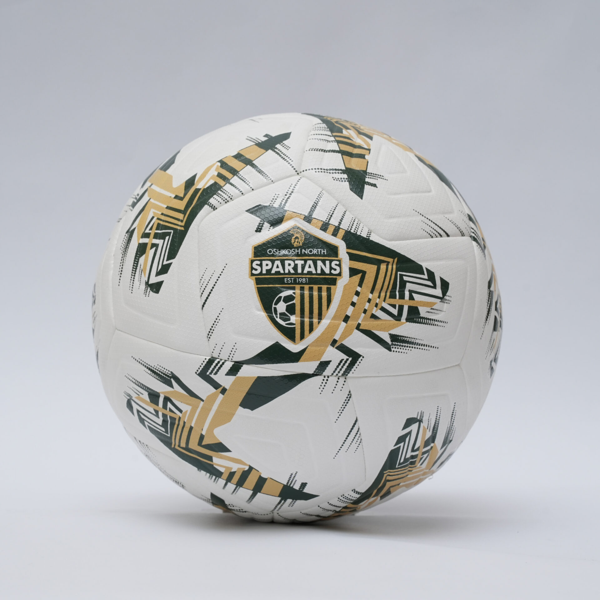 NFHS APPROVED 12-PANEL PREMIUM TRAINING LEVEL 12 panel premium training level custom soccer ball
