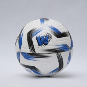 NFHS APPROVED 12-PANEL PROFESSIONAL LEVEL Customized Embossed 12-Panel Pro Model soccer ball
